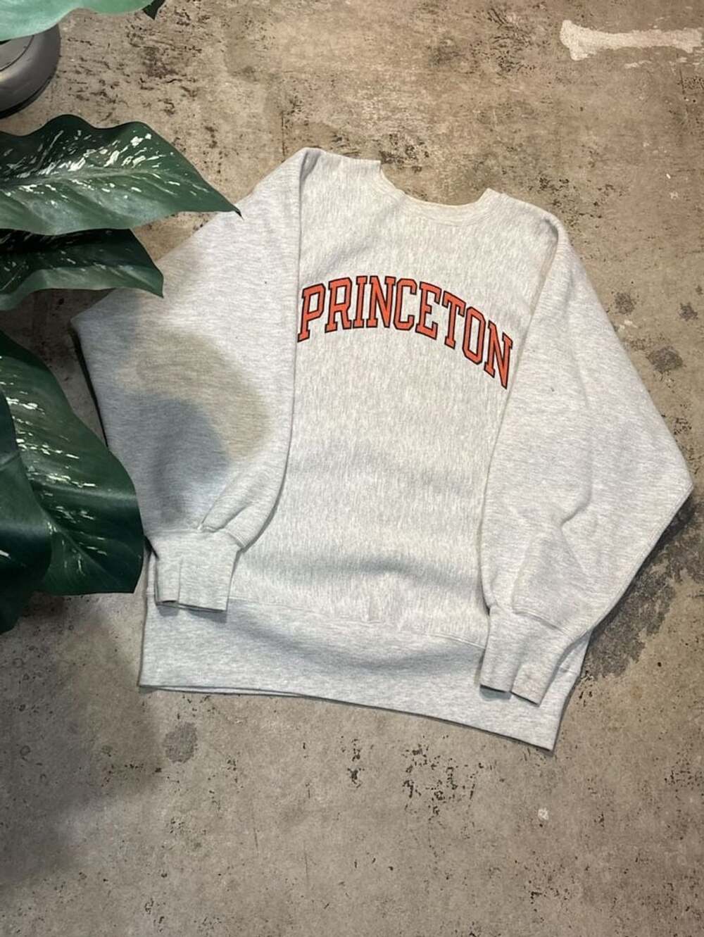 Champion Reverse Weave Princeton University Sweatshirt Size X-Large
